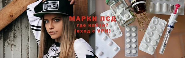 хмурый Аркадак