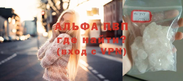хмурый Аркадак