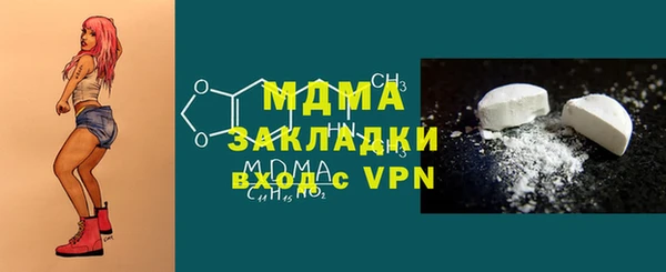 хмурый Аркадак