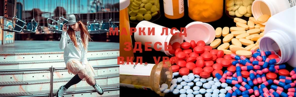 хмурый Аркадак