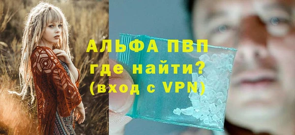 хмурый Аркадак