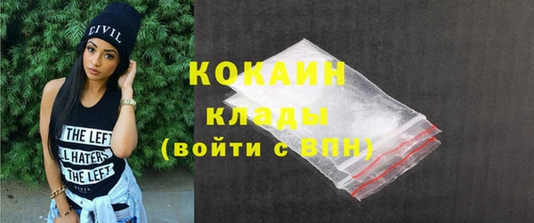 хмурый Аркадак