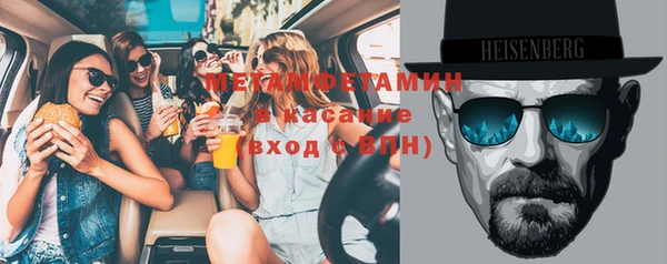 хмурый Аркадак