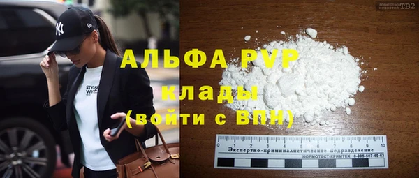 хмурый Аркадак