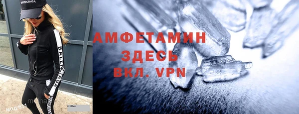 хмурый Аркадак